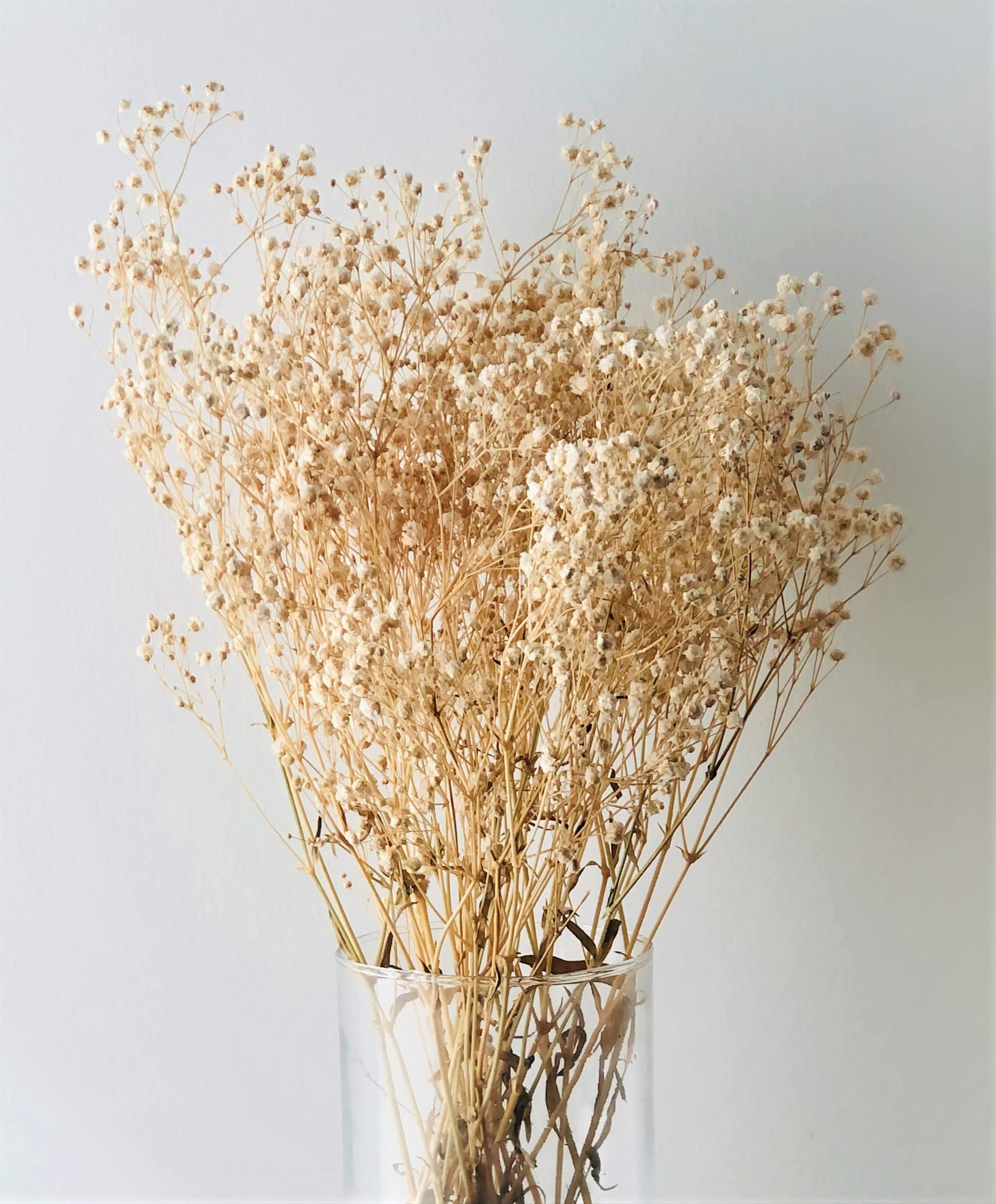 Dried Linium Bunch Dried Flowers Dried Plants Filler Flowers 