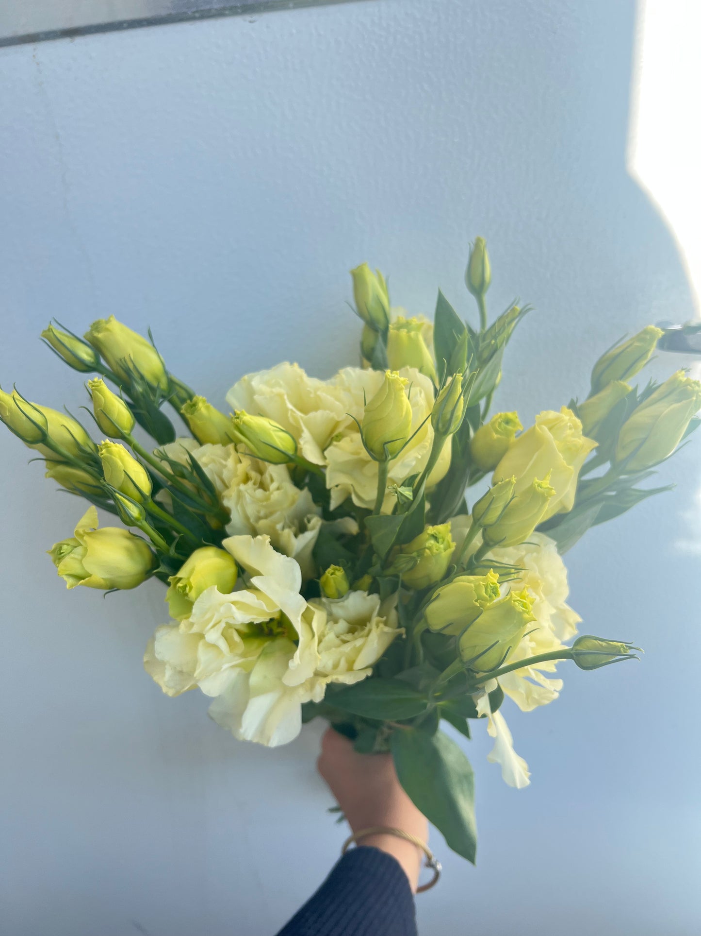 Lisianthus bunch