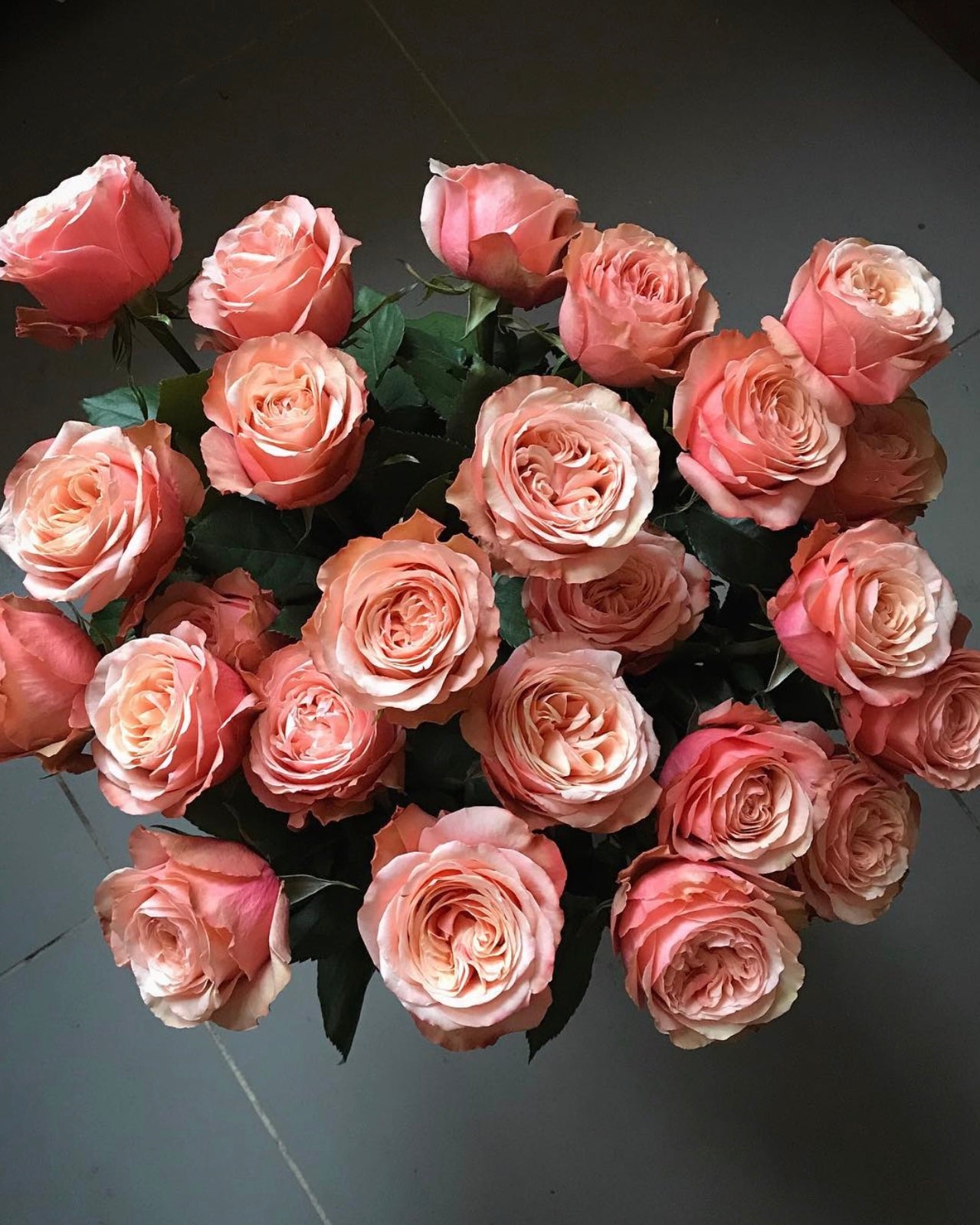 Coral Garden Roses