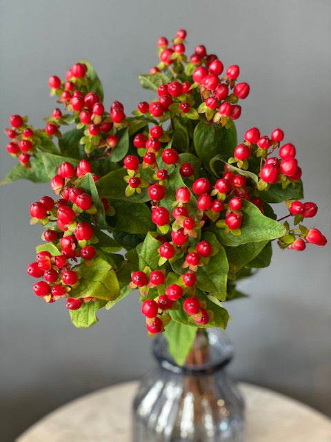 Hypericum Berries (10 Stems)