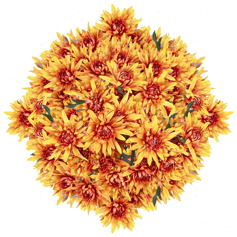 Cushion Pom Bunch