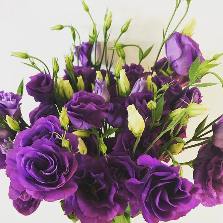 Lisianthus bunch