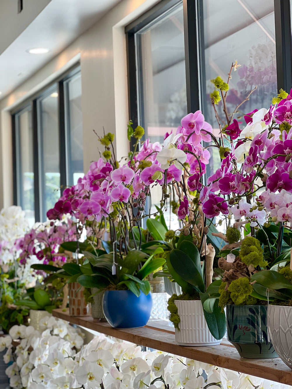 Growers Direct Flowers