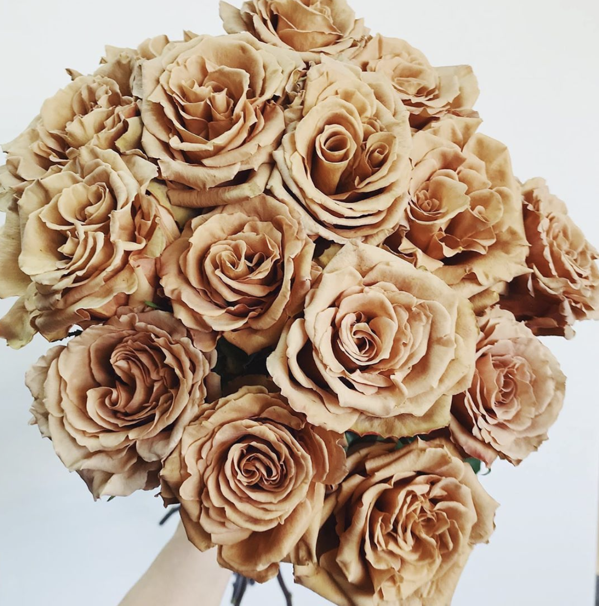 Toffee Roses (25 Stems) – Growers Direct Flowers