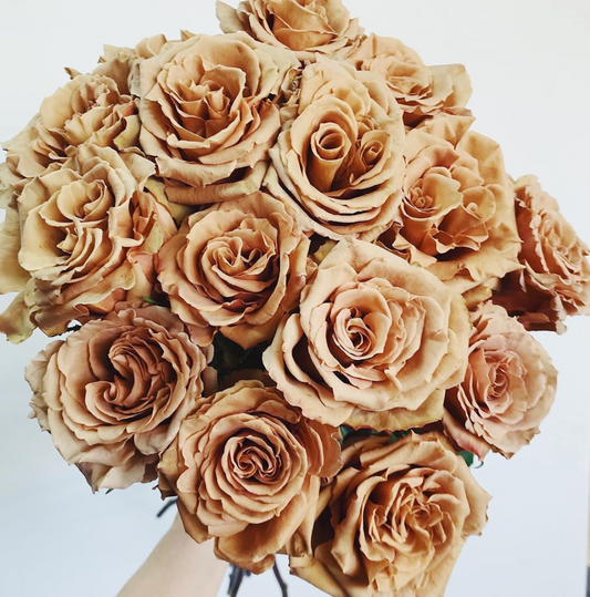 Toffee Roses (25 Stems)